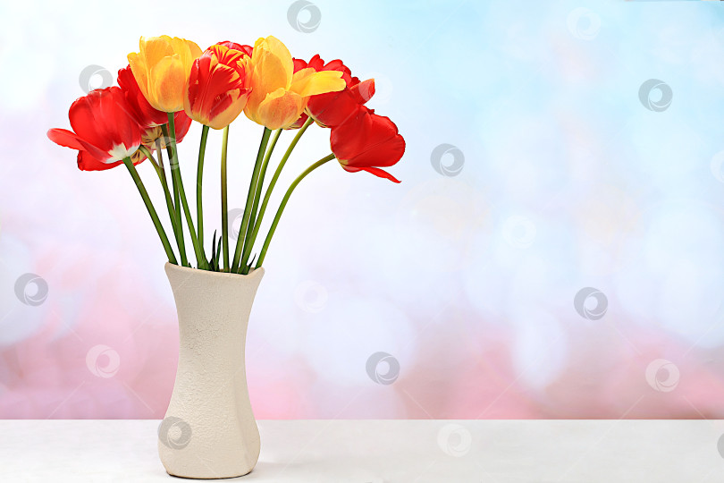 Скачать Красивые весенние цветы, тюльпаны в вазе на элегантном фоне, баннер. Абстрактная цветочная композиция, натюрморт с пространством для текста, цветочная праздничная открытка, концепция летнего поздравления, выборочный акцент фотосток Ozero