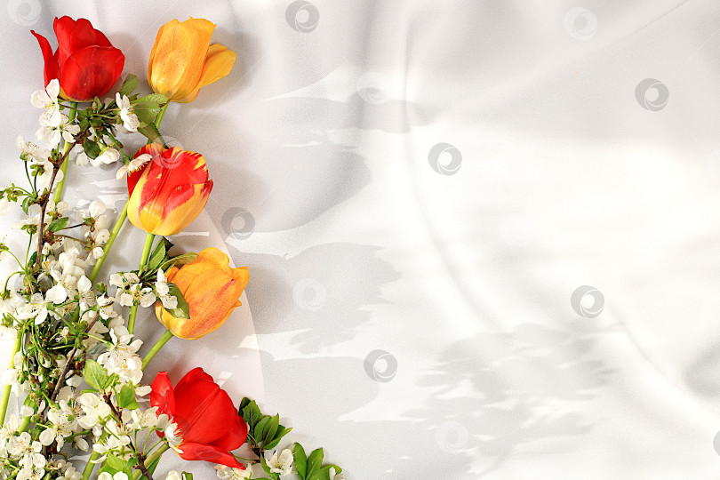 Скачать Красивые весенние цветы, тюльпаны и цветущие яблони на солнечном фоне, баннер. Абстрактная цветочная композиция, натюрморт с пространством для текста, цветочная праздничная открытка, концепция летнего поздравления, выборочный фокус фотосток Ozero