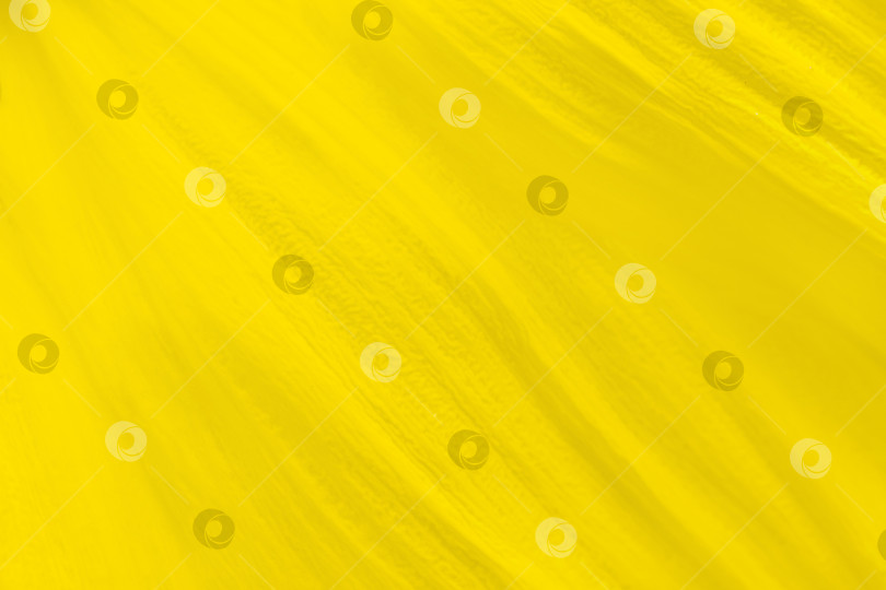 Скачать Крупный план лепестка желтого подсолнуха в качестве фона, текстуры (абстракция, макросъемка) фотосток Ozero