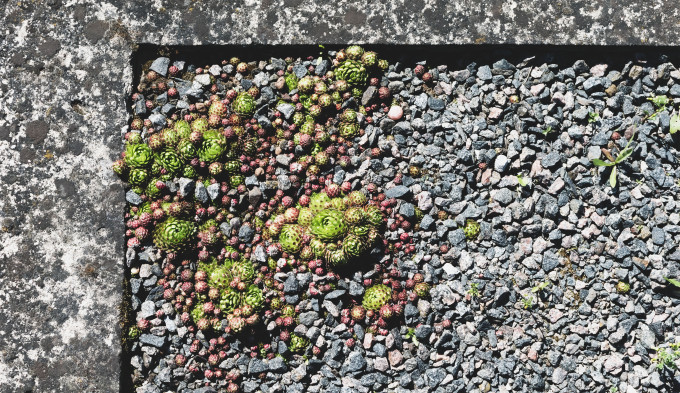 [object Object] undefined