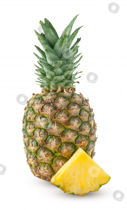 Скачать Целый ананас и один ломтик ананаса, выделенные на белом фоне фотосток Ozero