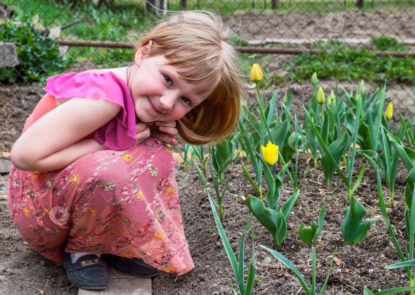 Скачать Хорошенькая маленькая девочка, застенчиво улыбающаяся и сидящая рядом с клумбой желтых тюльпанов весенним мартовским днем в деревне фотосток Ozero