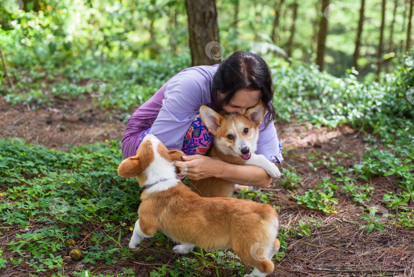 Скачать Молодая женщина обнимает двух своих собак корги в лесу фотосток Ozero