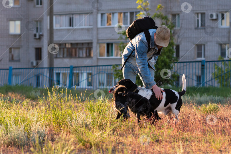 Скачать Мужчина наклоняется, чтобы погладить собак в городском парке. фотосток Ozero