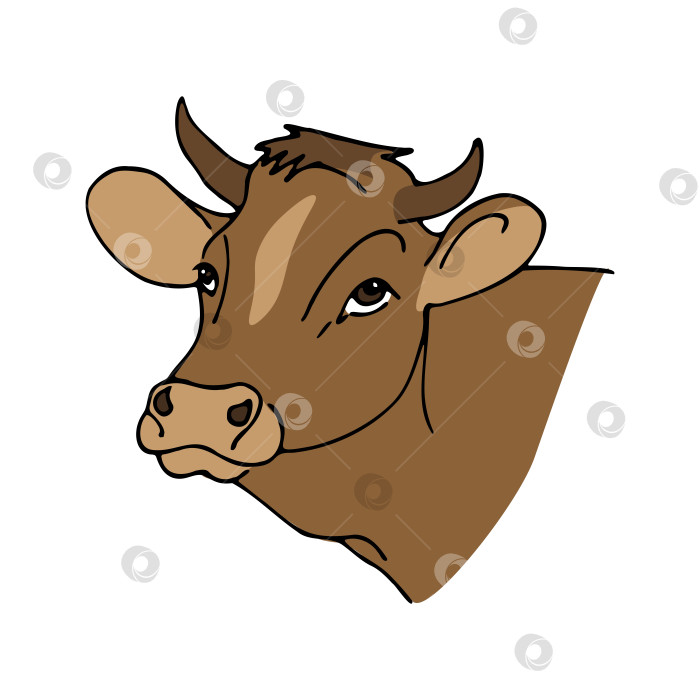 Скачать векторная цветная иллюстрация, портрет коровы на белом фоне. коричневая корова с рогами. фотосток Ozero