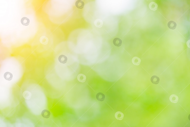 Скачать Естественный размытый летний фон зеленой листвы, освещенный солнцем (боке) фотосток Ozero
