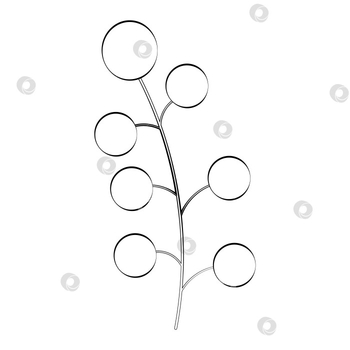 Скачать Веточка растения и цветок, обведенные тонкой линией. Вектор на белом фоне фотосток Ozero