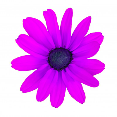 [object Object] undefined