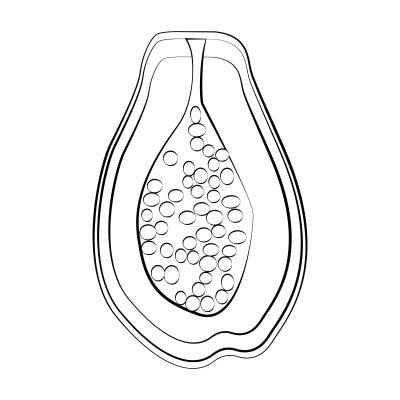 [object Object] undefined