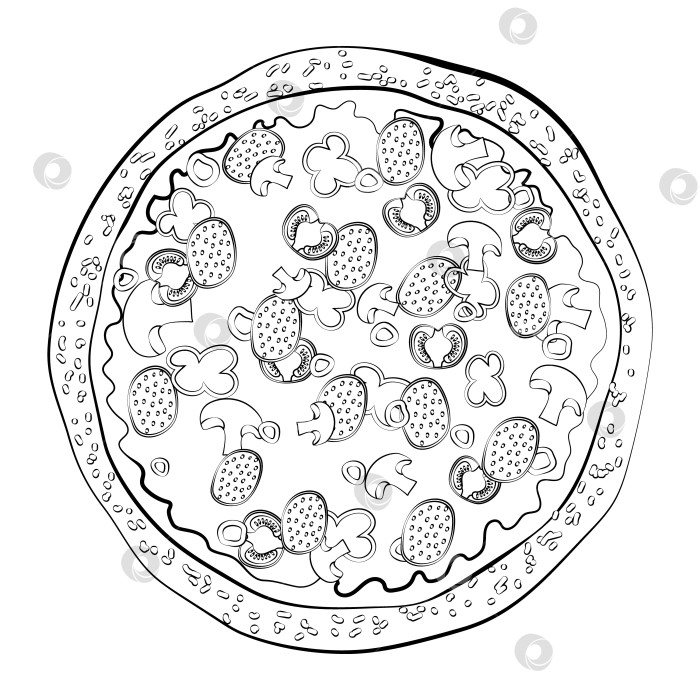 Скачать Пицца с тонкой линией. Вектор на белом фоне фотосток Ozero