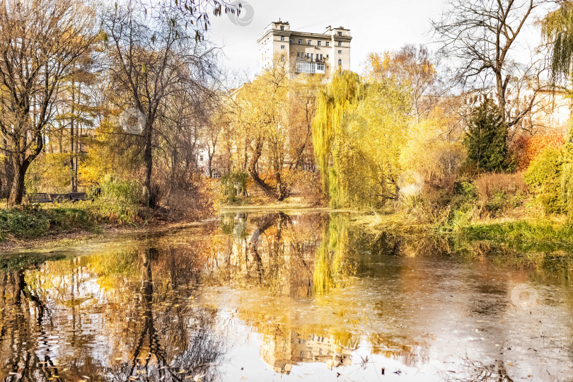 Скачать Пейзаж с видом на пруд и деревья с желтыми листьями, отражение в пруду. Размытый естественный фон. Осень фотосток Ozero