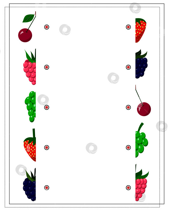 Скачать Игра для детей "найди нужную половину ягод". Клубника, малина, ежевика, вишня, виноград. фотосток Ozero