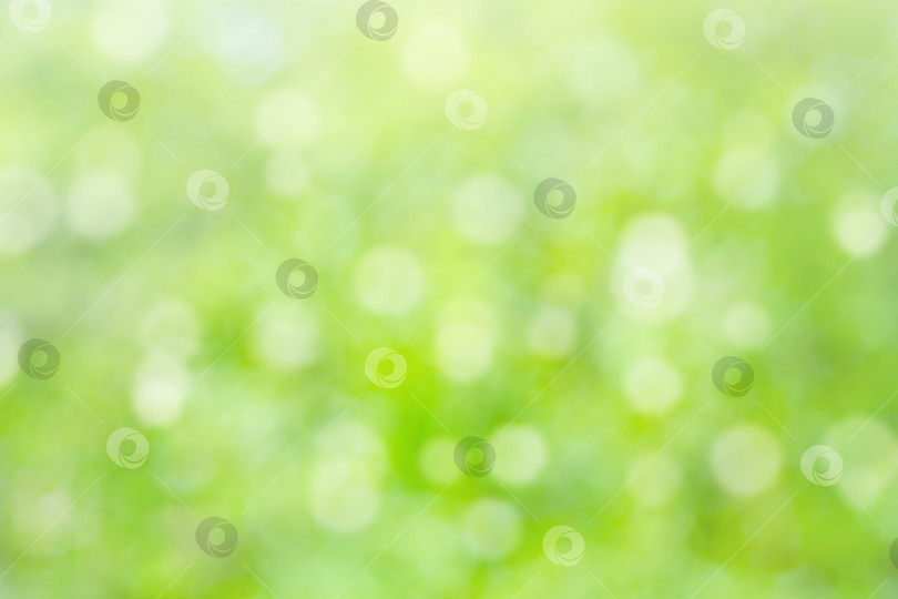 Скачать Естественный размытый летний зеленый фон с боке (абстракция) фотосток Ozero
