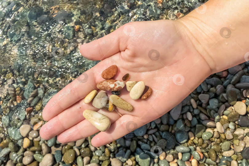 Скачать Крупный план женской руки, держащей камешек на пляже. Море, лето, отпуск. фотосток Ozero
