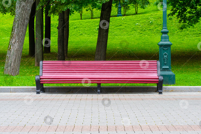 Скачать Длинная коричневая деревянная скамейка в городском парке на фоне зеленой лужайки и деревьев фотосток Ozero