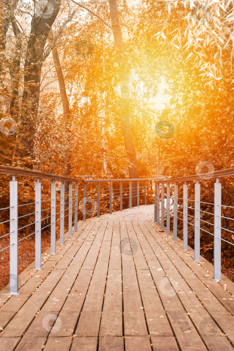 Скачать Перспективный вид на деревянную пешеходную дорожку с перилами в осеннем лесу на фоне оранжевого солнечного света (тонированный) фотосток Ozero