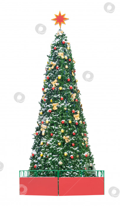 Скачать Высокая рождественская елка, украшенная цветными шарами, выделенными на белом фоне фотосток Ozero
