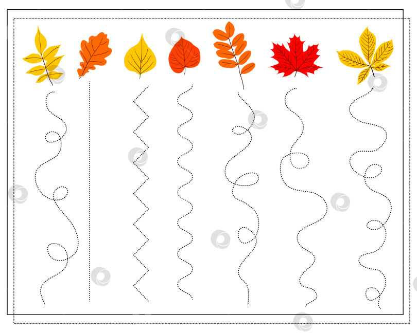 Скачать Мастер-класс по чистописанию. Развивающая детская игра. Обводка линий для детей и малышей ясельного возраста. Осенние листья, вектор фотосток Ozero