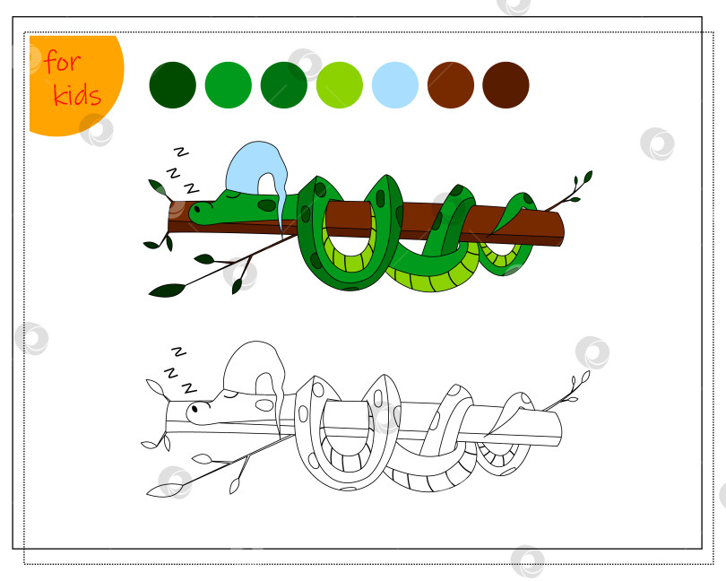 Скачать книжка-раскраска для детей, милая мультяшная змея спит на дереве. вектор, выделенный на белом фоне. фотосток Ozero