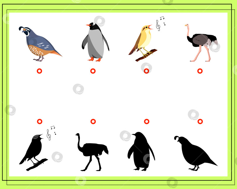 Скачать Игра для детей "Найди правильную тень". Выбери правильную тень для птиц фотосток Ozero