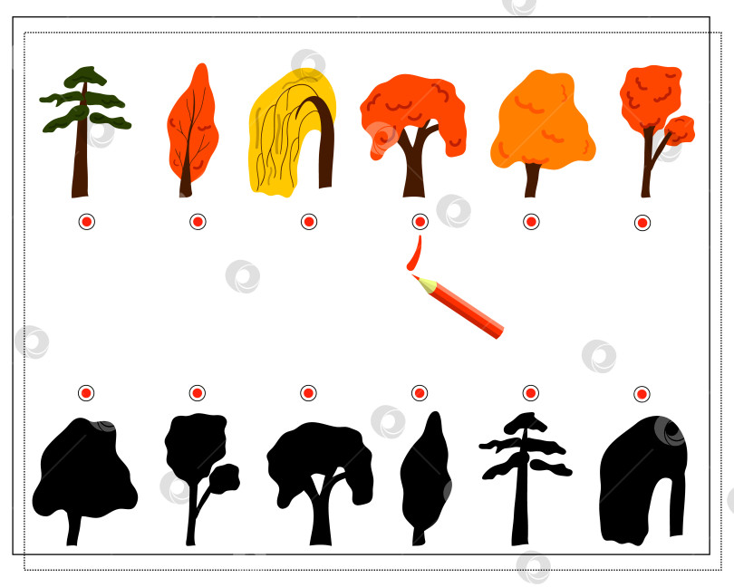 Скачать Логическая игра для детей "найди правильную тень для деревьев". Осень, сосна, ива, липа. Вектор фотосток Ozero