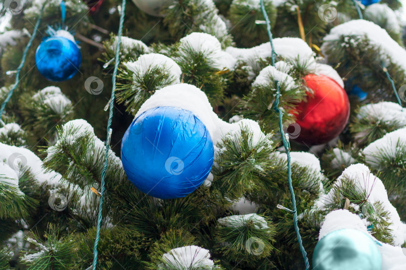Скачать Крупный план синих и красных шаров на рождественской елке, покрытой снегом фотосток Ozero