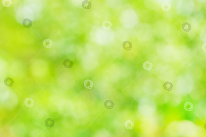 Скачать Естественный размытый летний фон зеленой листвы (абстракция, боке) фотосток Ozero