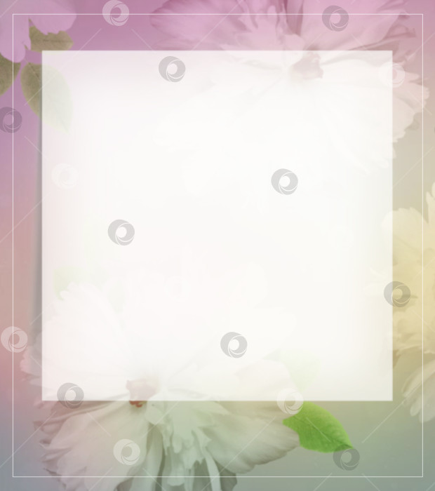 Скачать Ботаническая открытка с цветочным рисунком из белых пионов на цветном фоне и пространством для текста фотосток Ozero