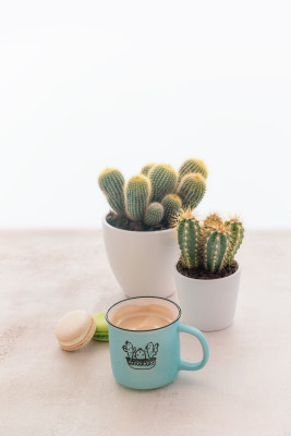 [object Object] undefined