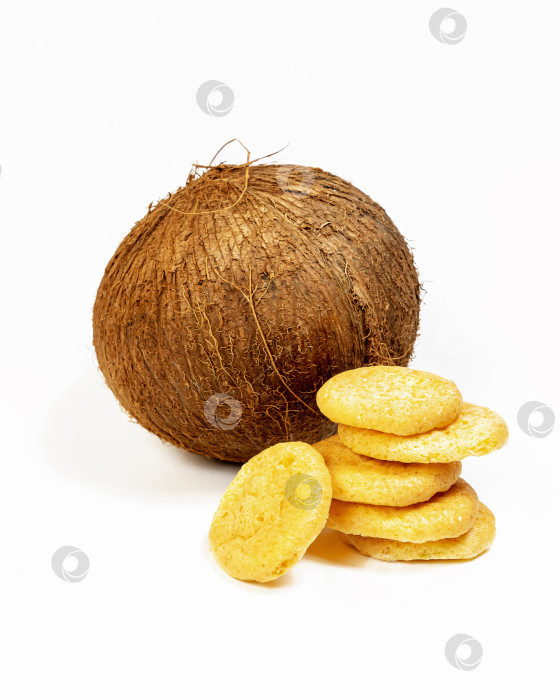 Скачать Изолированное домашнее кокосовое печенье с цельным кокосовым орехом на белом фоне фотосток Ozero