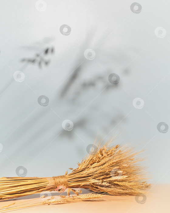 Скачать Летний фон с букетом колосьев пшеницы и ячменя и пространством для копирования фотосток Ozero