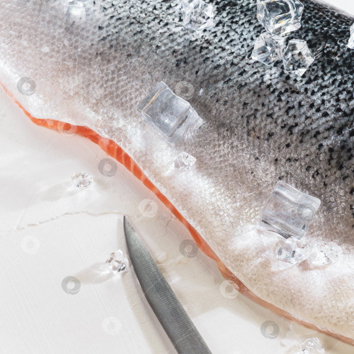 Скачать Сырое филе лосося с кубиками льда и ножом на черно-белом фоне фотосток Ozero