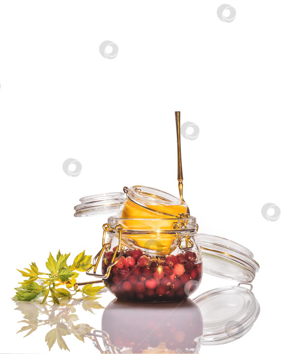 Скачать Отдельные стеклянные банки с клюквой, ферментированной в меду, и лимоном на белом фоне фотосток Ozero