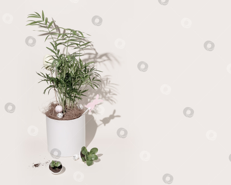 Скачать Пасхальная композиция в стиле домашнего садоводства с комнатным растением в горшке фотосток Ozero