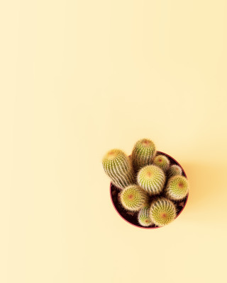 [object Object] undefined