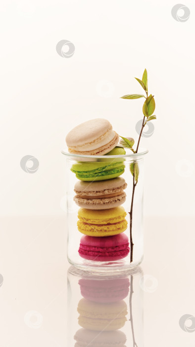 Скачать Миндальное печенье в стеклянной банке с цветущей веточкой на белом фоне фотосток Ozero