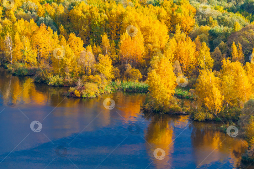 Скачать Вид на осенний лес с желтой листвой на берегу реки фотосток Ozero