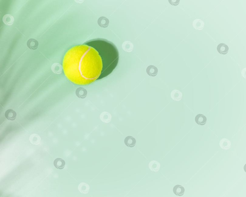 Скачать Спортивная, горизонтальная композиция с желтым теннисным мячом и тенью, оставленной пальмой фотосток Ozero