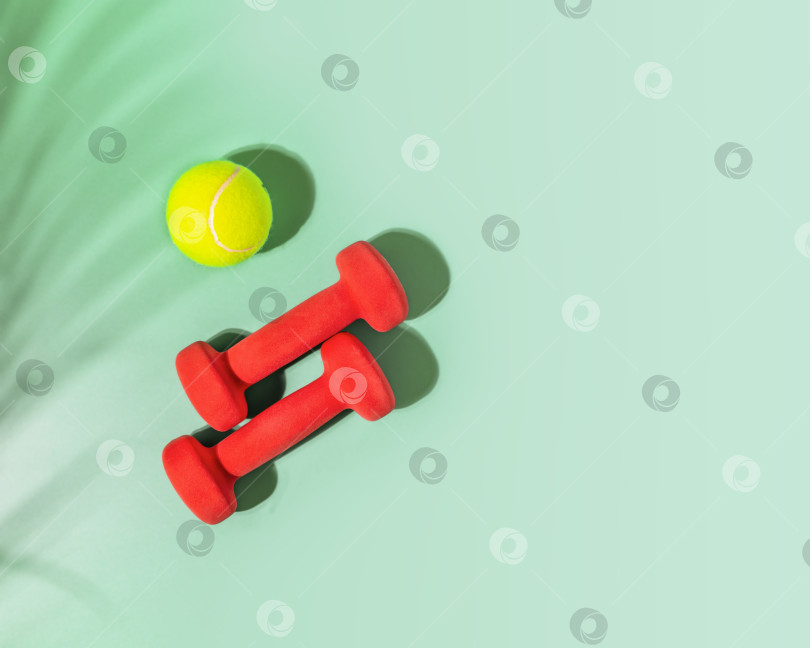 Скачать Желтый теннисный мяч и красные гантели на зеленом фоне с тенью от ладони и пространством для копирования фотосток Ozero