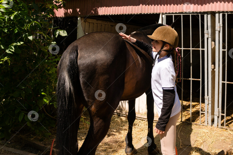 Скачать Ребенок активно ухаживает за лошадью под присмотром взрослых фотосток Ozero