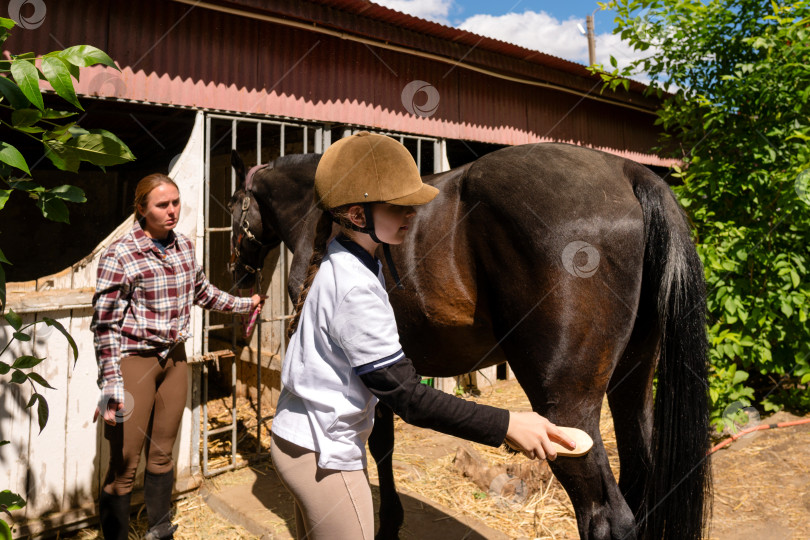 Скачать Взрослый наблюдает за ребенком, который чистит лошадь возле конюшни. фотосток Ozero