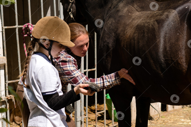 Скачать Взрослый и ребенок осматривают темную лошадку в конюшне. фотосток Ozero