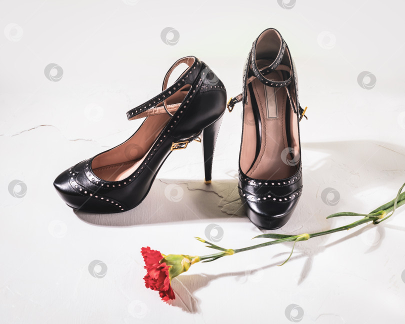 Скачать Черные женские туфли на высоком каблуке с алым цветком гвоздики на белом фоне фотосток Ozero
