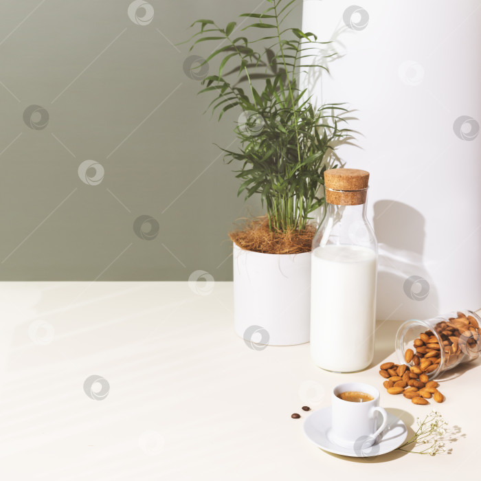 Скачать Овощная композиция с чашкой эспрессо, растительным молоком без лактозы, миндалем и комнатными растениями фотосток Ozero