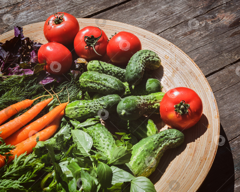 Скачать местные фермерские овощи и зелень на тарелке: помидоры, огурцы, морковь, петрушка, укроп и базилик фотосток Ozero