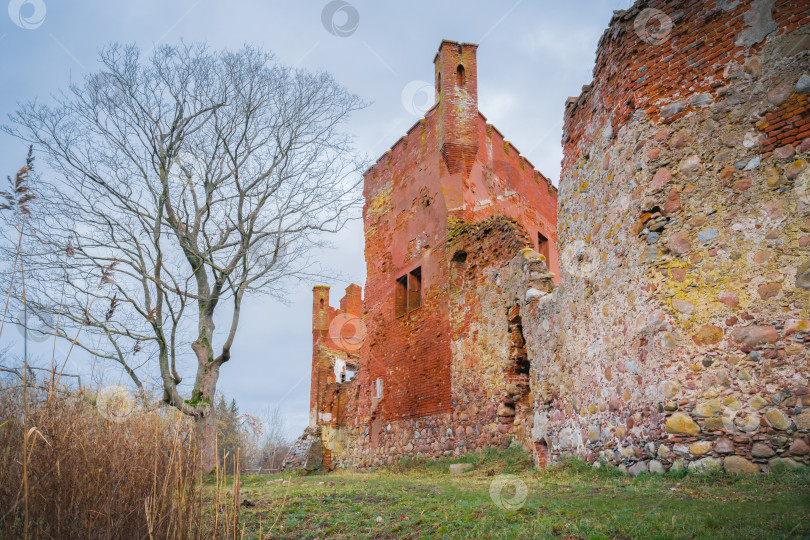 Скачать Живописные руины готического средневекового замка фотосток Ozero