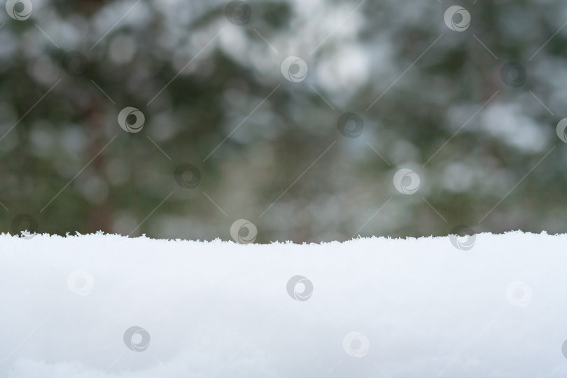 Скачать Зимний пейзаж со снежным заносом на переднем плане и деревьями в технике боке на заднем плане фотосток Ozero
