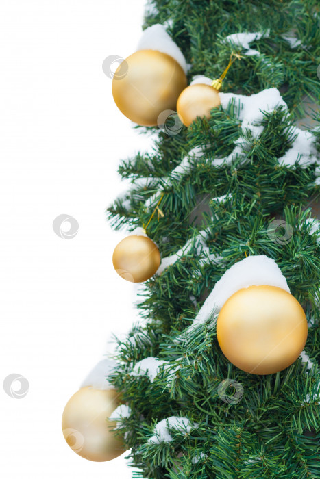 Скачать Позолоченные шары, покрытые снегом, на рождественской елке (изолированные) фотосток Ozero