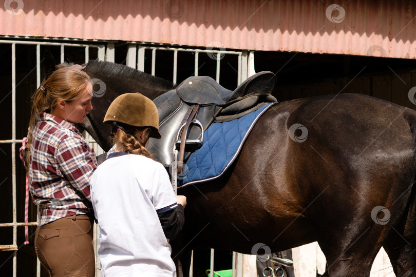 Скачать Инструктор, помогающий молодой девушке оседлать лошадь. фотосток Ozero
