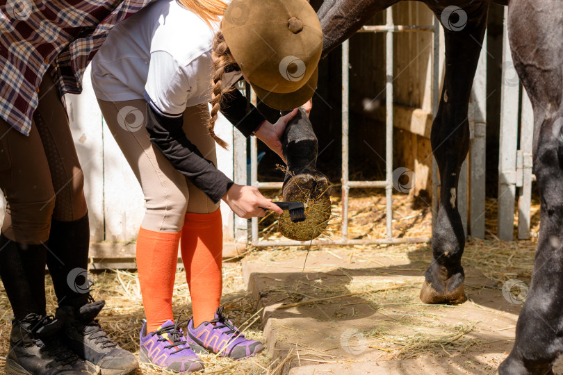 Скачать Девушка чистит копыто лошади, а инструктор помогает ей. фотосток Ozero